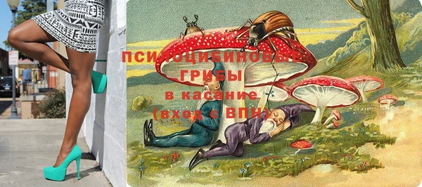 стафф Алексин