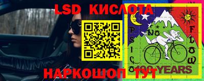 амф Кингисепп