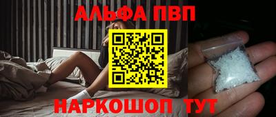 амф Кингисепп