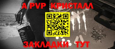амф Кингисепп